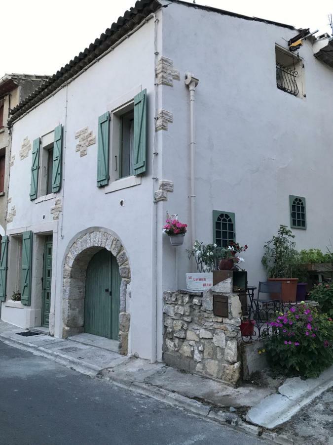 Chambre D'Hotes Le Laurier Blanc Portel-des-Corbieres Esterno foto